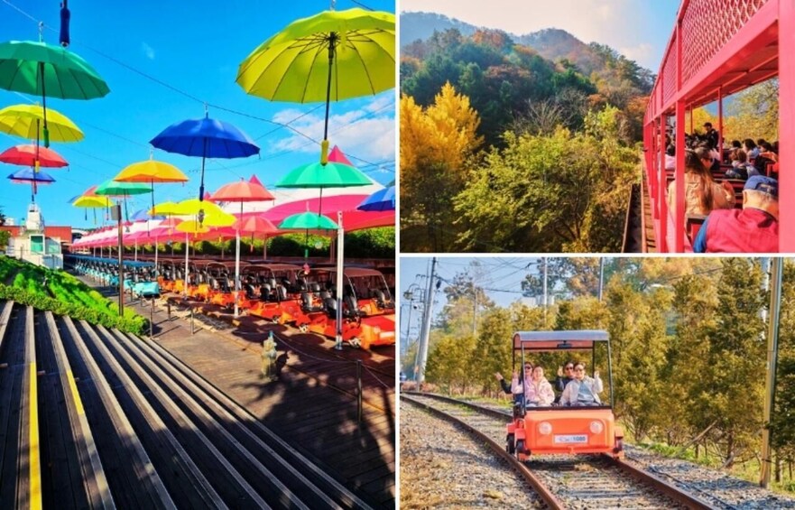 Picture 5 for Activity Alpaca World, Nami Island, and Rail Bike Tour 2