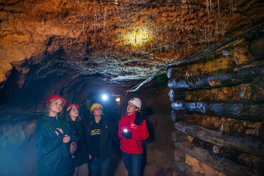 Picture 3 for Activity Tarnowskie Góry: UNESCO Silver Mine Guided Tour & Boat Ride 5
