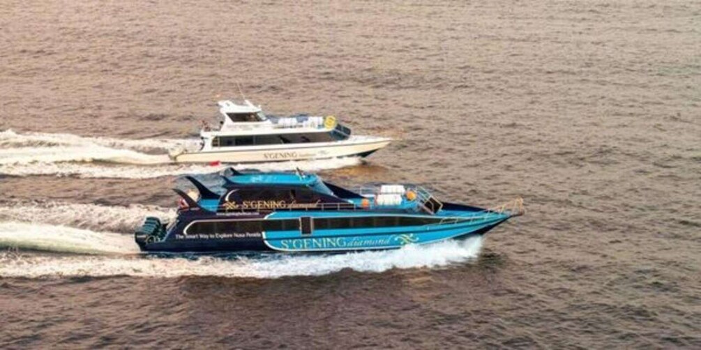 Picture 2 for Activity From Bangsal: Sanur Fast Boat Transfer 3