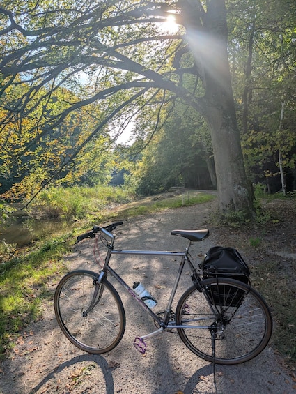 Amsterdam: Bike Tour 1