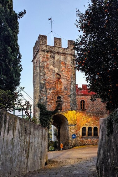 Picture 1 for Activity Hike & Sunset in Typical Tuscan Village 4