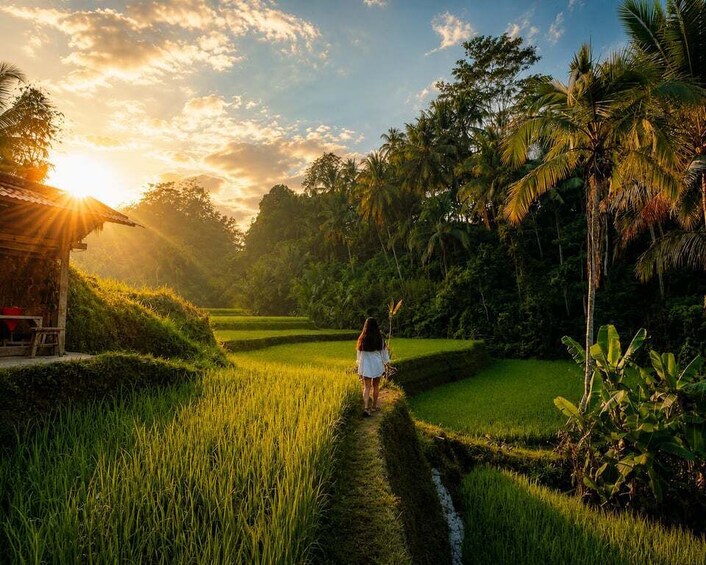 Picture 5 for Activity Ubud: ATV, White Water Rafting & Rice Terrace Adventure 4