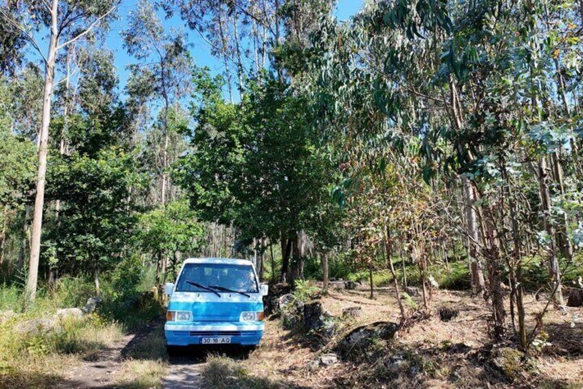 The Monastery and A Glass of Green Tour in the Blue Vintage Van 4