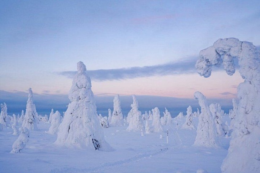 A snowy landscape with snow-covered trees and a clear sky. 5