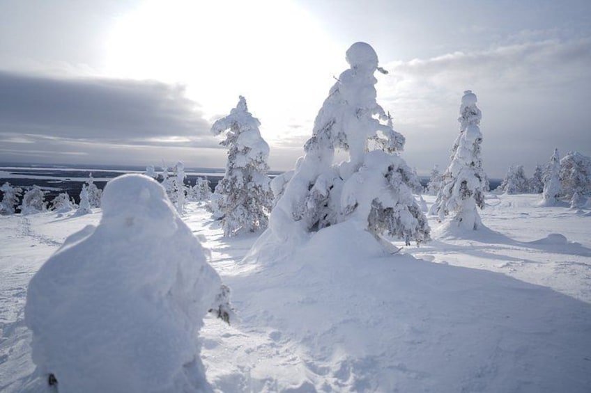 A snowy landscape with snow-covered trees and a snowman. 3