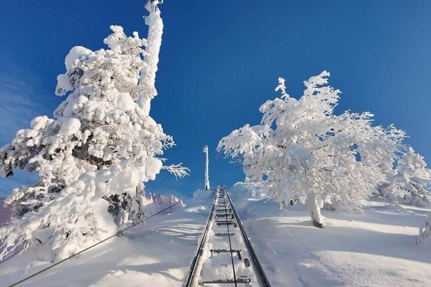 Riisitunturi & World’s Northernmost Roller Coaster from Rovaniemi 4