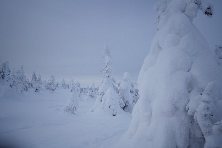A snowy landscape with snow-covered trees and a large snow formation. 4