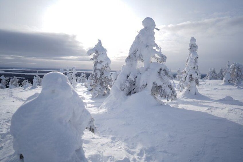 Ruka Northern Ostrobothnia Tour Experience 3