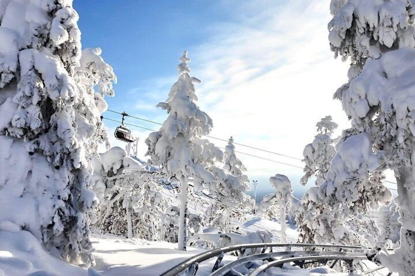 Riisitunturi & World’s Northernmost Roller Coaster from Rovaniemi 3