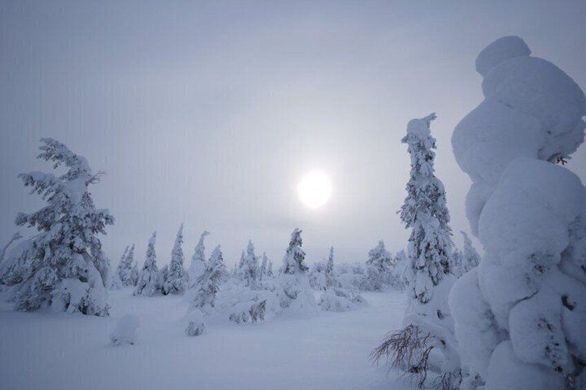 Ruka Northern Ostrobothnia Tour Experience 2