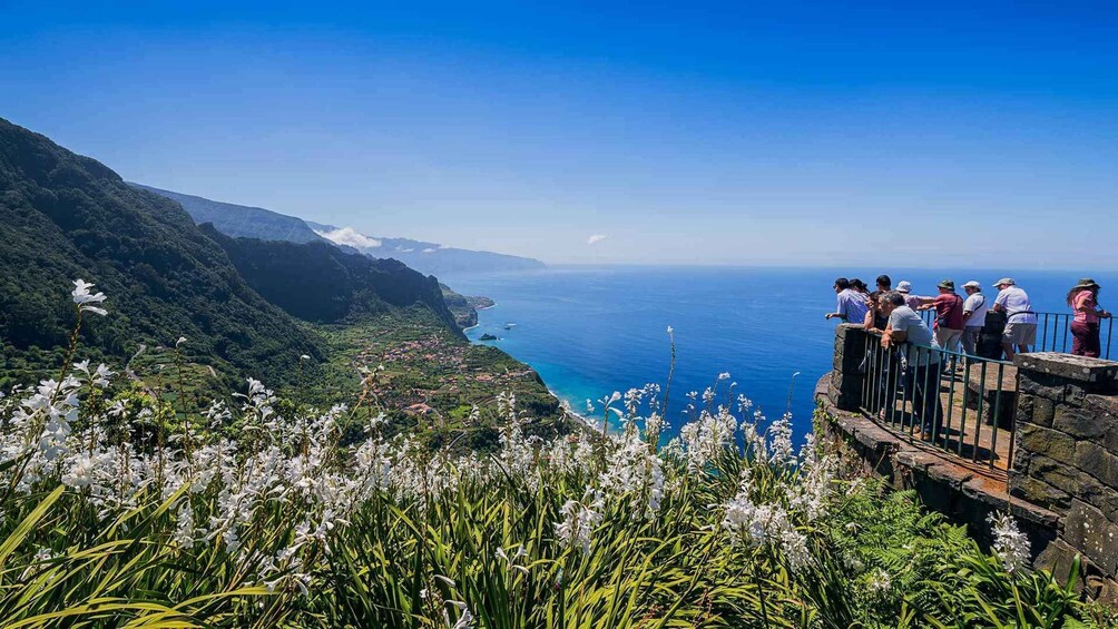 Picture 9 for Activity Madeira’s Hidden Peaks & Santana: Full‑Day Scenic Adventure 2