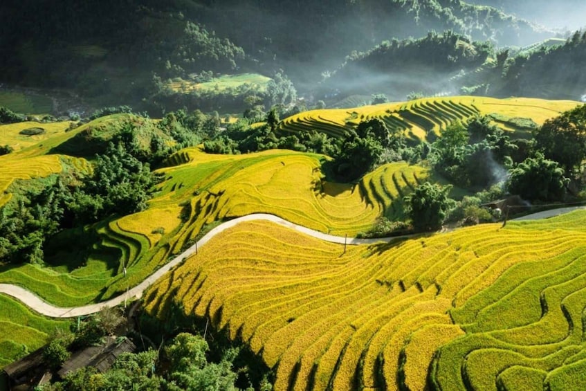 Picture 35 for Activity Sapa Trek: Ethnic Villages, Rice Terraces & Hidden Trails 2