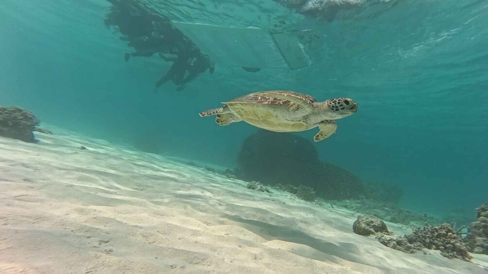 Miyakojima: Guided Snorkel Board Tour with Photos 1