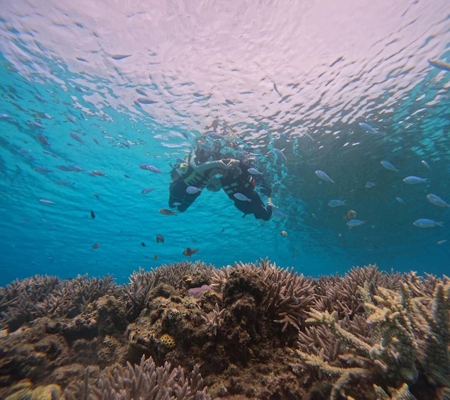 Picture 11 for Activity Miyakojima: Guided Snorkel Board Tour with Photos 2