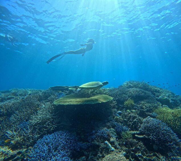 Picture 12 for Activity Miyakojima: Guided Snorkel Board Tour with Photos 5