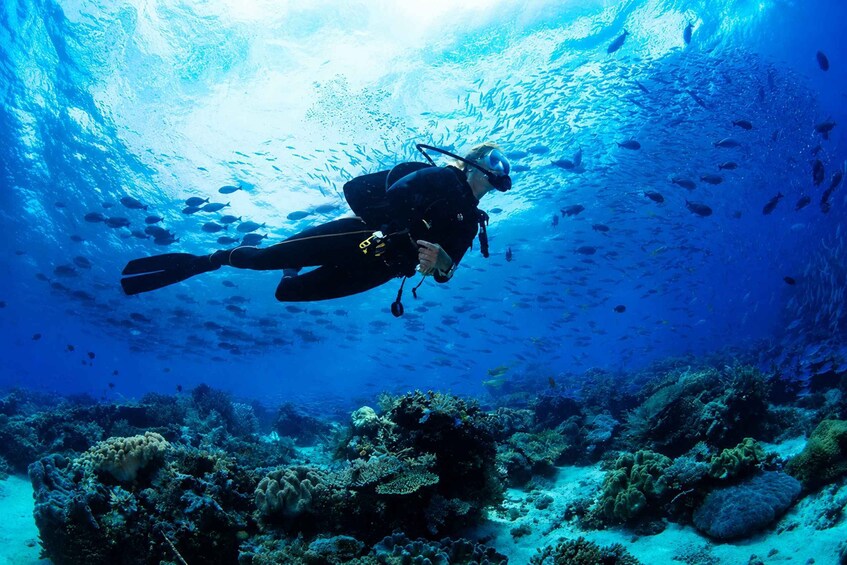 Picture 1 for Activity From Sumbawa: Moyo Island 3-Day Private Diving Expedition 3