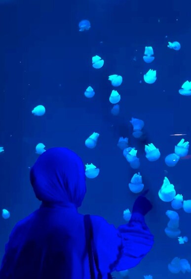 Picture 12 for Activity Jakarta Aquarium & Safari Entrance Ticket 5