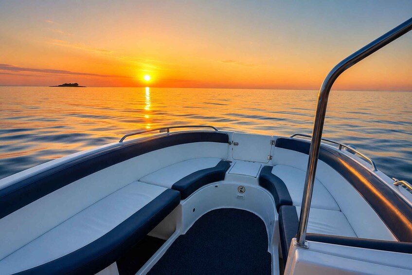 Picture 3 for Activity Poreč: Dolphin-Watching Speedboat Tour 4