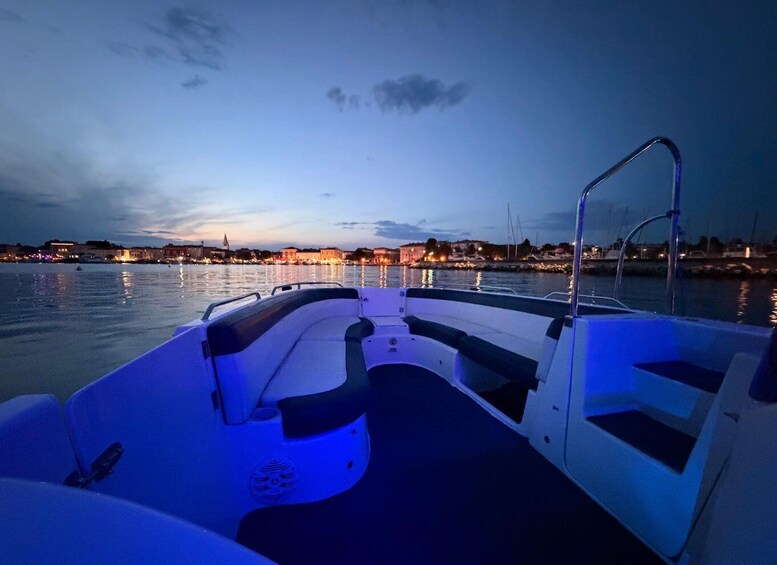 Picture 4 for Activity Poreč: Dolphin-Watching Speedboat Tour 5