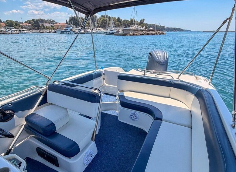 Picture 2 for Activity Poreč: Dolphin-Watching Speedboat Tour 3