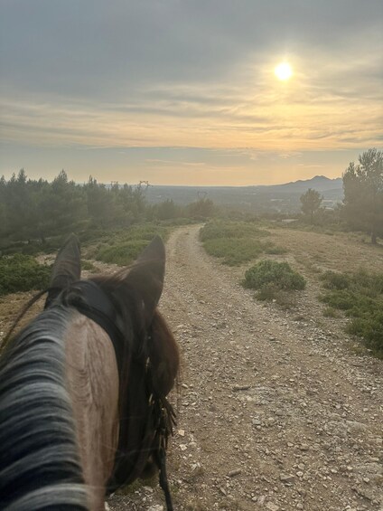 Picture 4 for Activity Salon de Provence - Sunset Horseback Ride with Picnic 3