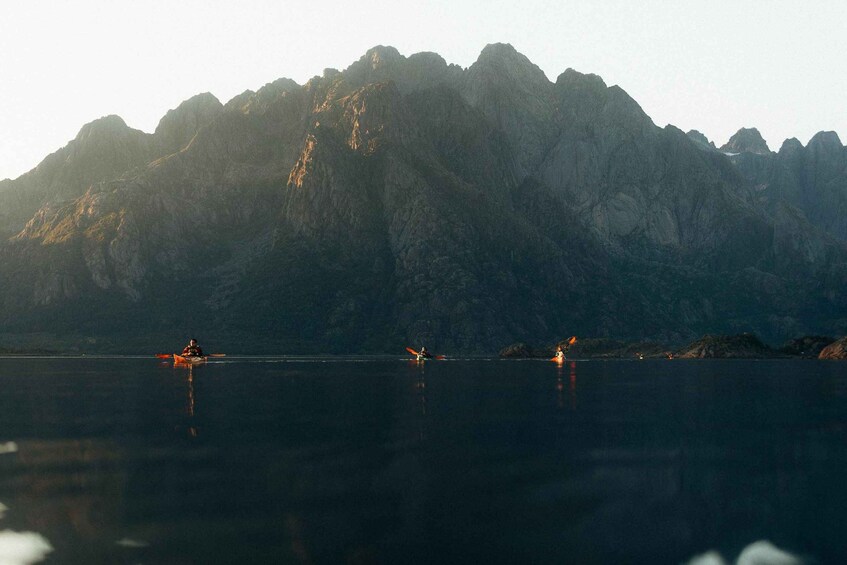 Picture 8 for Activity Lofoten Private Kayak Tour with English Speaking Guide 4