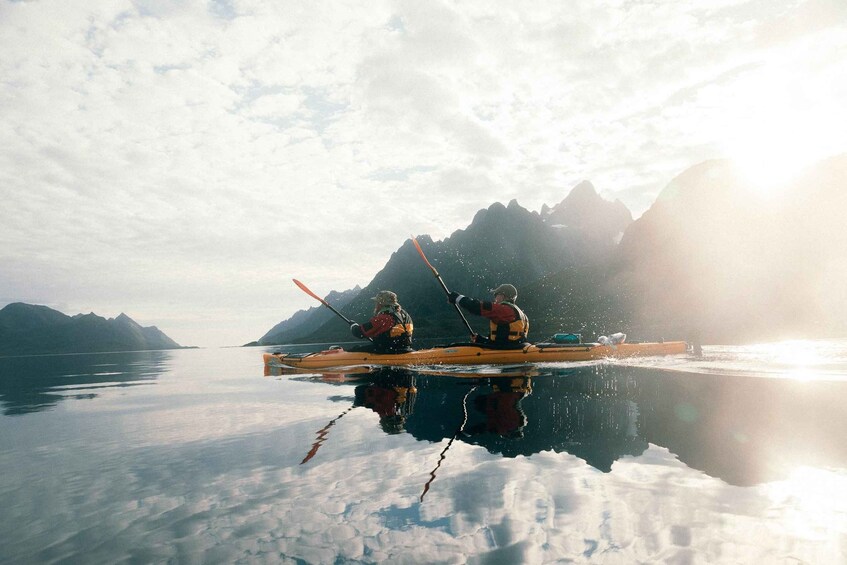Picture 2 for Activity Lofoten Private Kayak Tour with English Speaking Guide 5