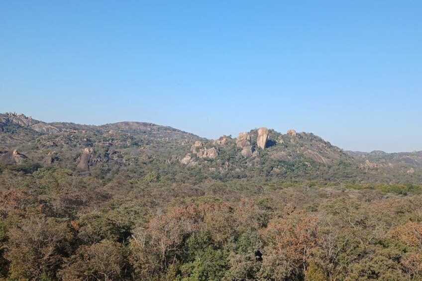 Matobo Hills Rhino Tracking and Rock Art Tour 1