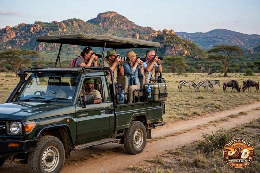A safari vehicle with passengers observing wildlife. 5