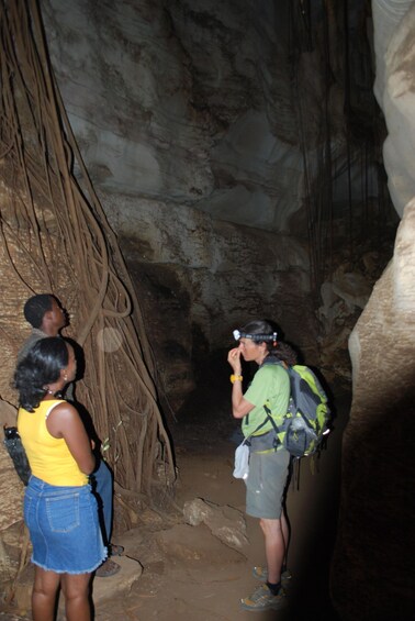 From Tanga: Amboni Caves Guided Tour with Hotel Transfer 1