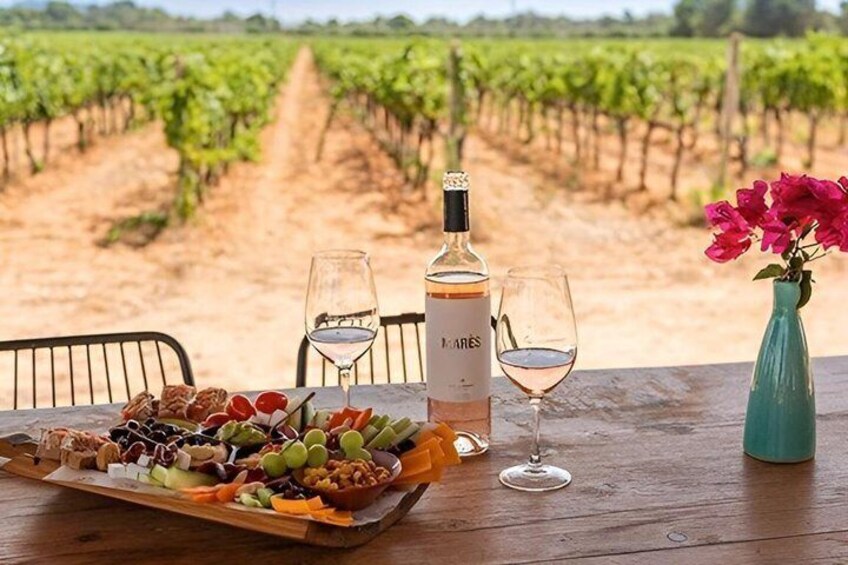 Mallorca Wine tour and tasting in Bodegas Bordoy 1