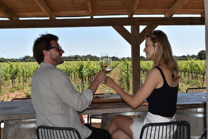 A couple toasting with wine glasses in a vineyard setting. 2
