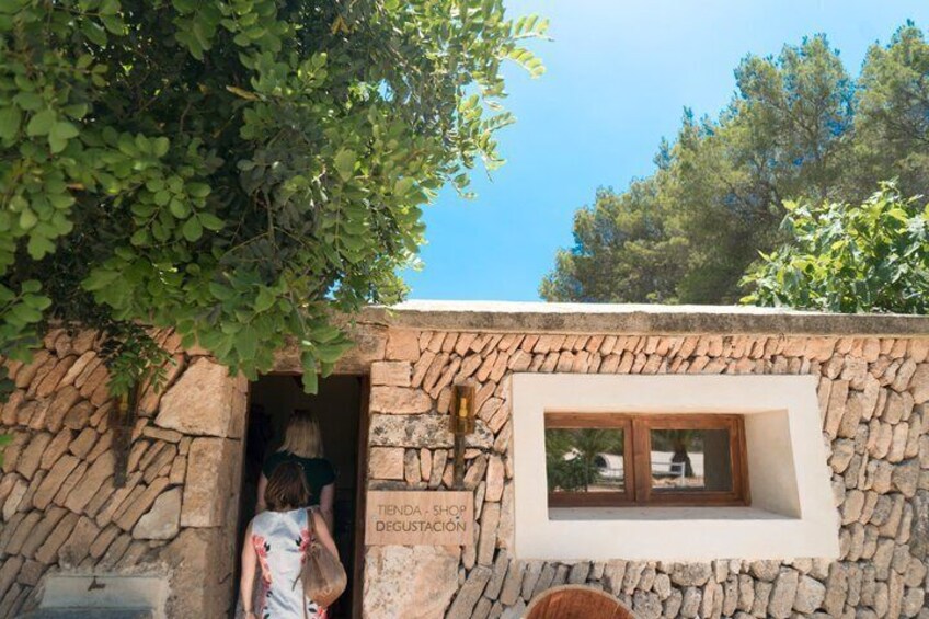 Mallorca Wine tour and tasting in Bodegas Bordoy 4