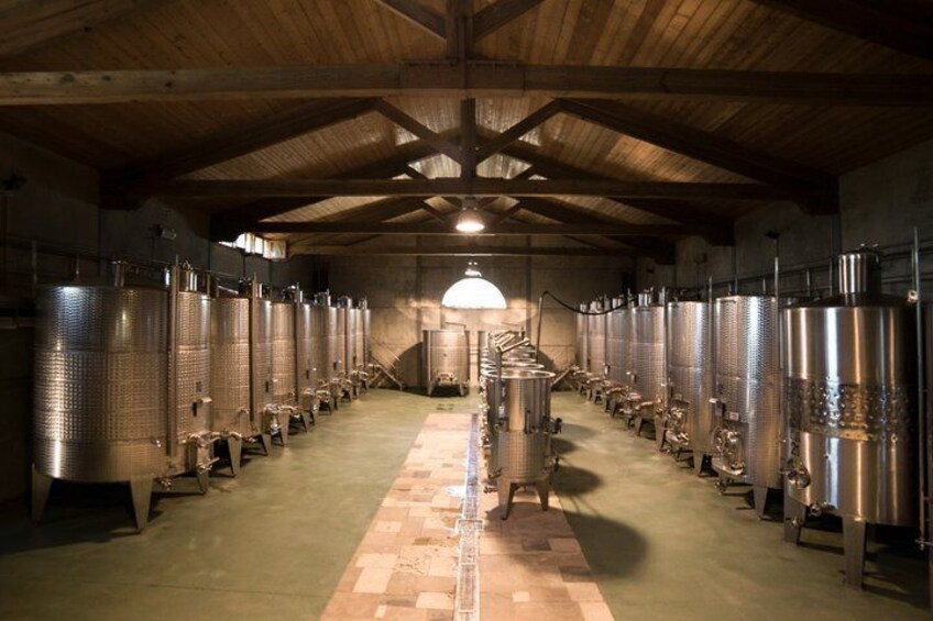 Mallorca Wine tour and tasting in Bodegas Bordoy 3