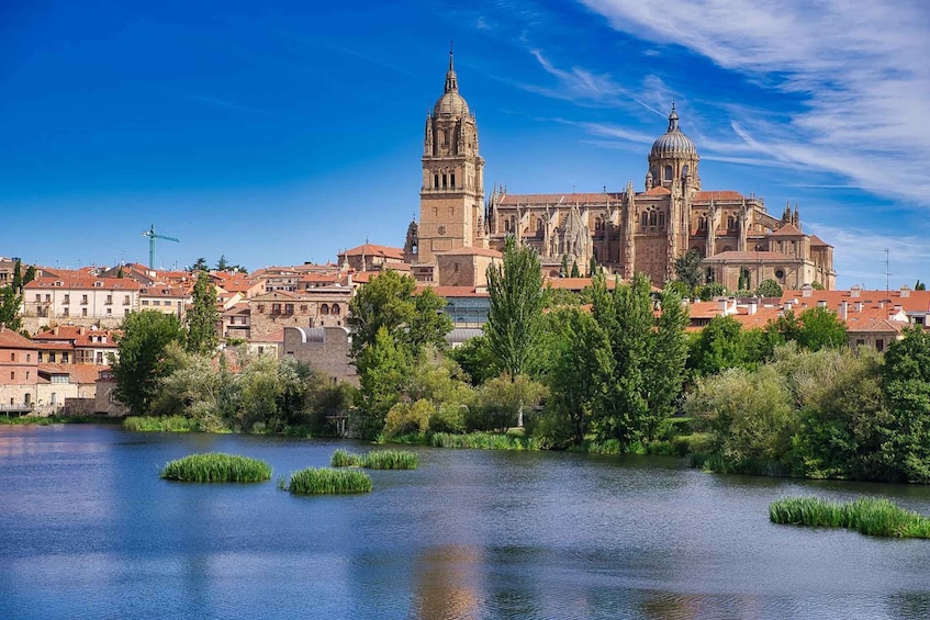 A historic cathedral with twin towers, a river with greenery, and surrounding buildings. 1