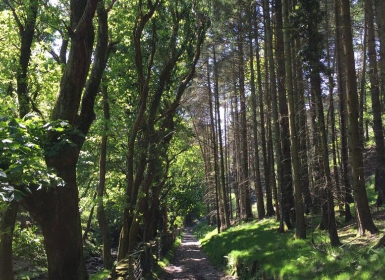 Picture 4 for Activity Isle of Man: Private Gardens and Glens Eco Tour with Pickup 1