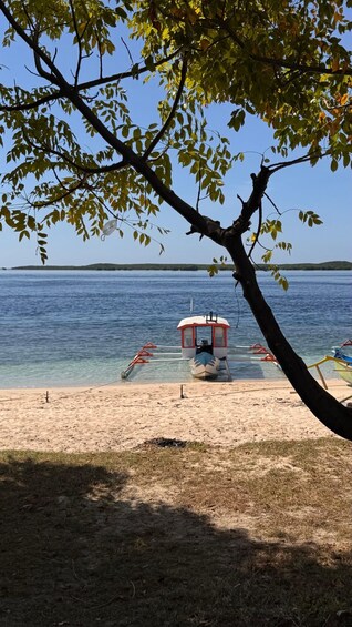 Picture 32 for Activity East Lombok: Hidden Gili , Mangrove and Sembalun Day Trip 4
