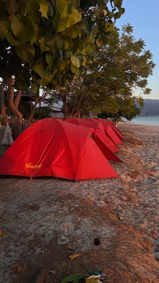 Picture 40 for Activity Lombok : Snorkeling Gili Kondo, Petagan Mangrove And Camping 3
