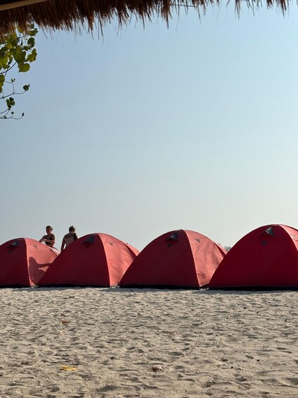Picture 87 for Activity Lombok : Snorkeling Gili Kondo, Petagan Mangrove And Camping 4