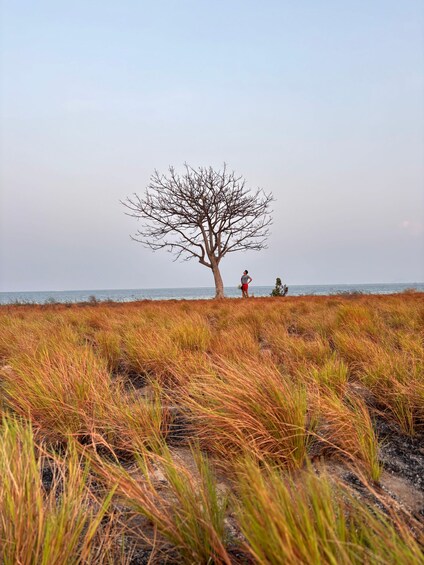 Picture 90 for Activity Lombok : Snorkeling Gili Kondo, Petagan Mangrove And Camping 5