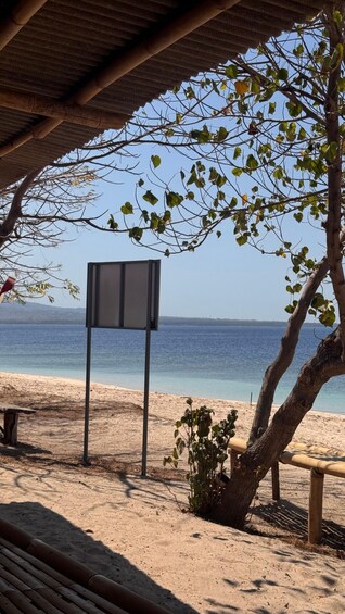Picture 70 for Activity Lombok : Snorkeling Gili Kondo, Petagan Mangrove And Camping 5