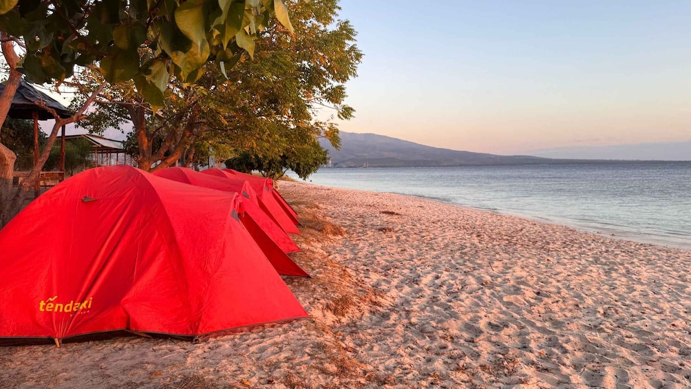 Picture 39 for Activity Lombok : Snorkeling Gili Kondo, Petagan Mangrove And Camping 4