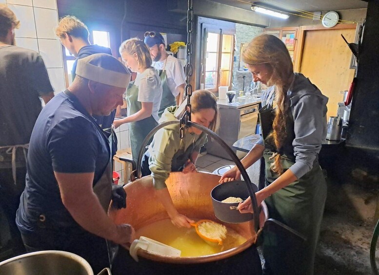 Unterseen: Alpine Cheese Farm Visit & Cheesemaking 1