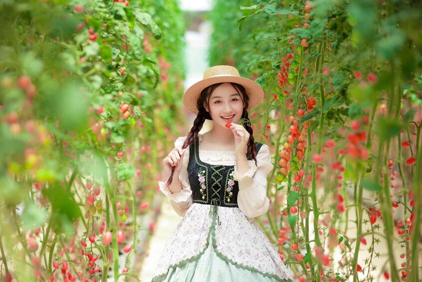 A person in traditional attire walking through a garden with rows of red berries. 1