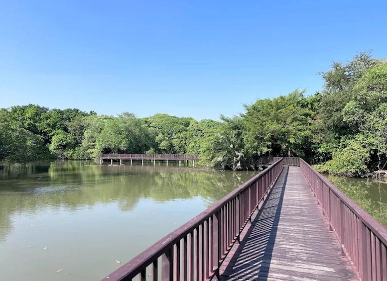 Bangkok: Green Lung Boat, Bike & Nature Tour 1