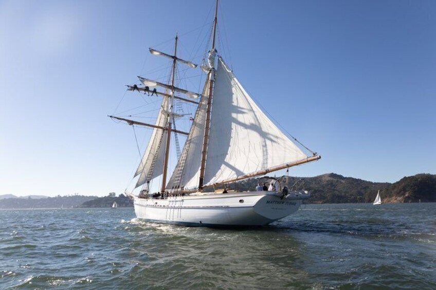 Sausalito Shared Kayak Tour 4 Day Voyage 4