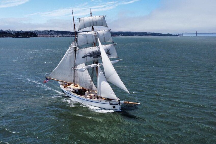 Sausalito Shared Kayak Tour 4 Day Voyage 1