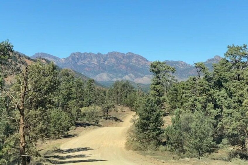 All Inclusive 3 Day 4WD Flinders Ranges and Clare Valley Tour 2