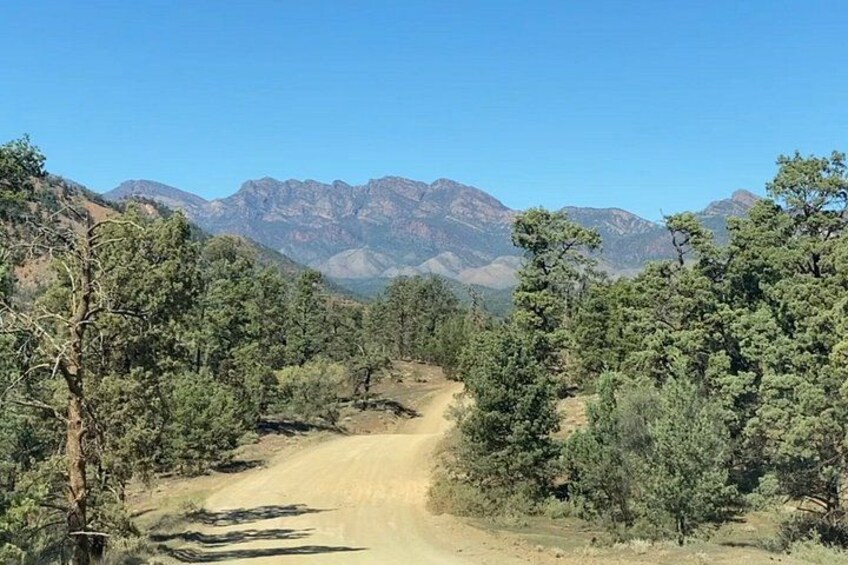 All Inclusive 3 Day 4WD Flinders Ranges and Clare Valley Tour 2