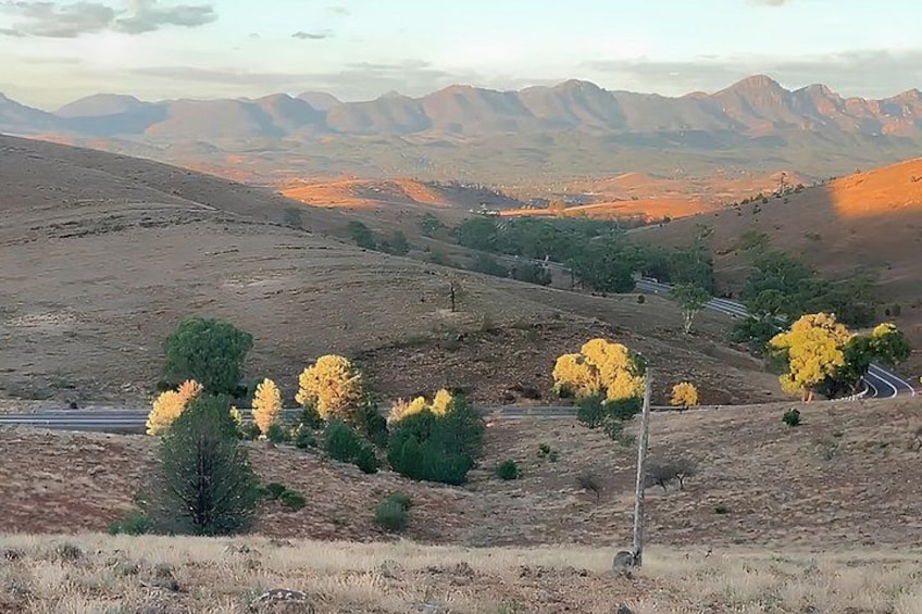 All Inclusive 3 Day 4WD Flinders Ranges and Clare Valley Tour 3